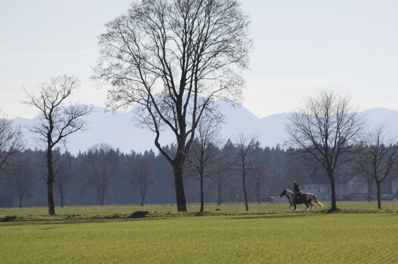 Free stock image of Horse Riding created by Pixabay