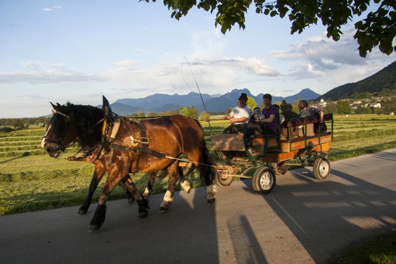 Free stock image of Horse Ride created by Pixabay