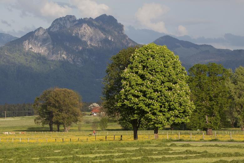 Free stock image of In Spring created by Pixabay