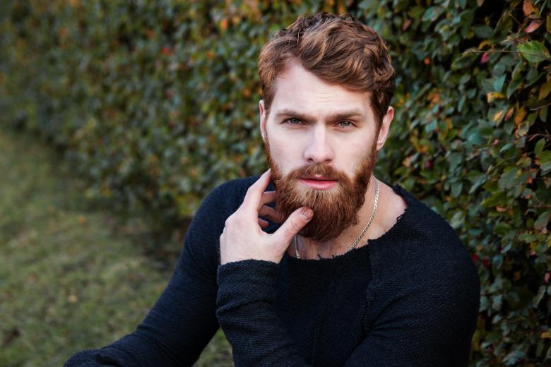 Free stock image of Man with Beard Posing created by Pixabay