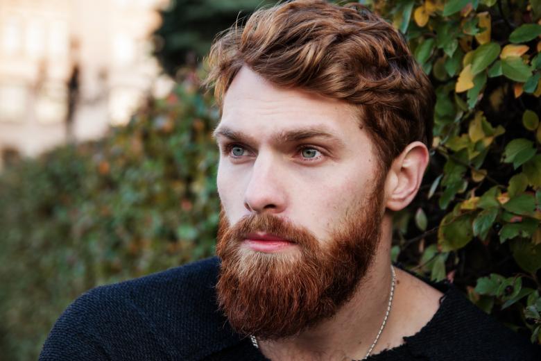 Free stock image of Man with Beard created by Pixabay