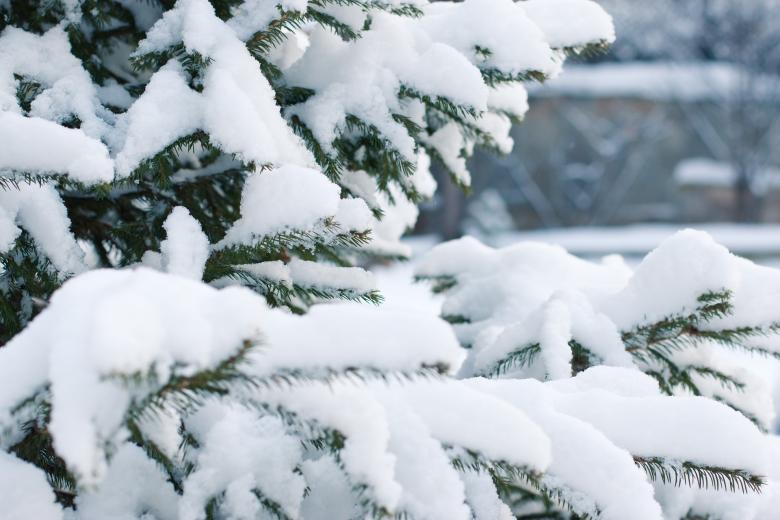 Free stock image of In Winter created by Pixabay