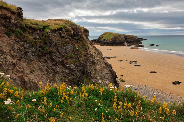 Free stock image of Rugged Irish Wildflower Coast - HDR created by Nicolas Raymond