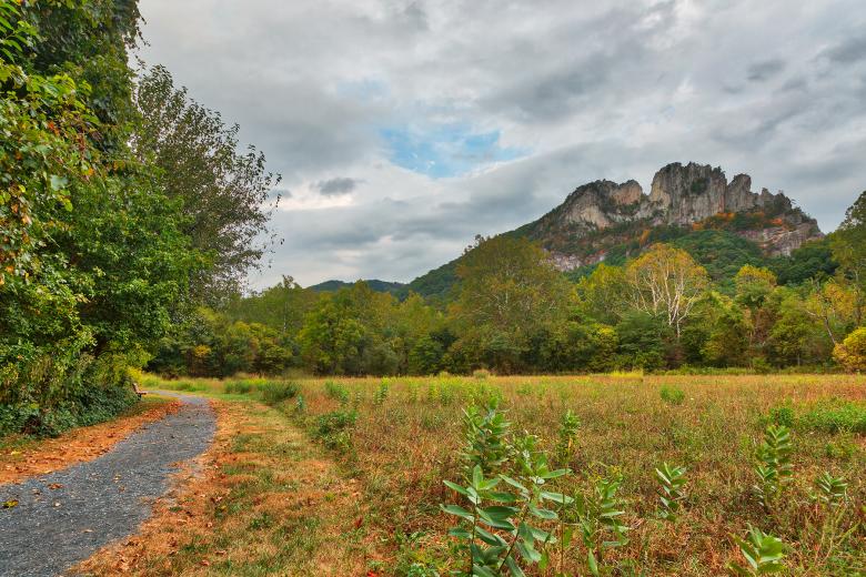 Free stock image of Seneca Rocks Trail - HDR created by Nicolas Raymond