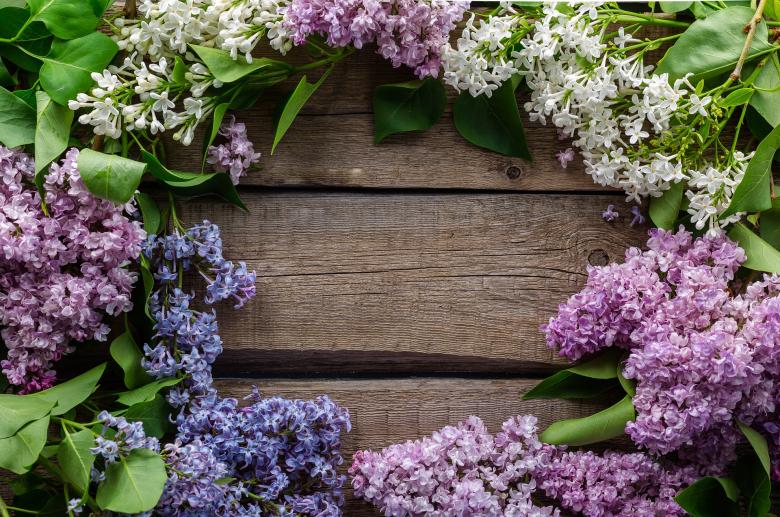 Free stock image of Blooming Flowers created by Pixabay