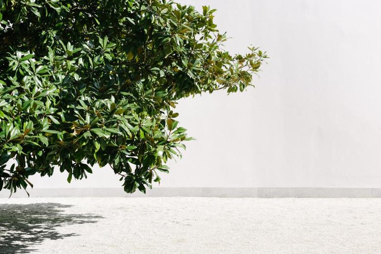Free stock image of Lonely Tree created by Pixabay