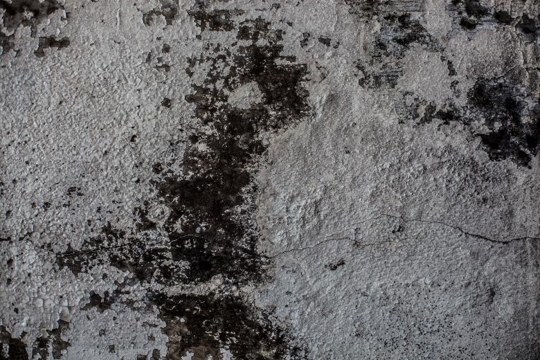 Free stock image of Grunge Peeling Wall Texture created by Free Texture Friday