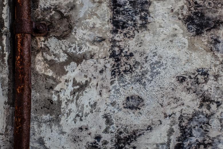 Free stock image of Moldy Grunge Wall Surface created by Free Texture Friday