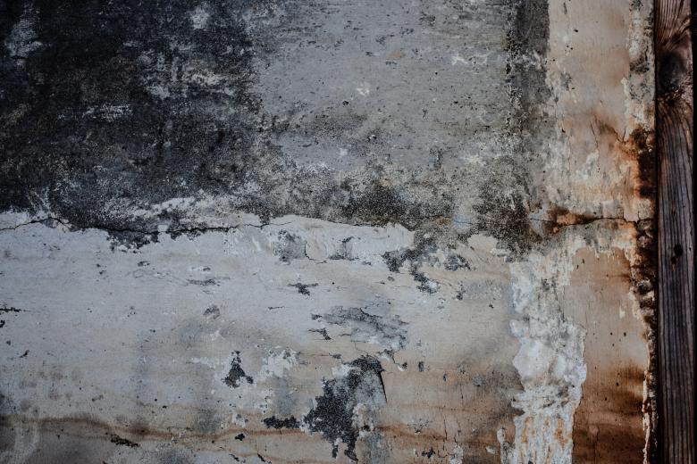 Free stock image of Moldy Grunge Wall Texture created by Free Texture Friday