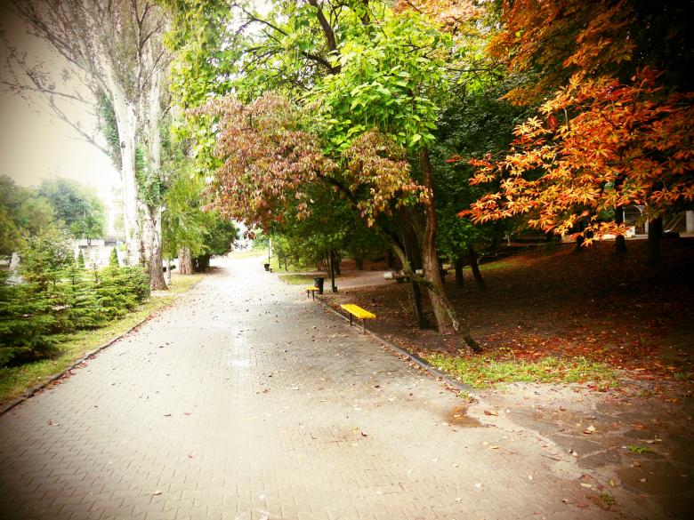 Free stock image of Golden Autumn created by Victor Zotov