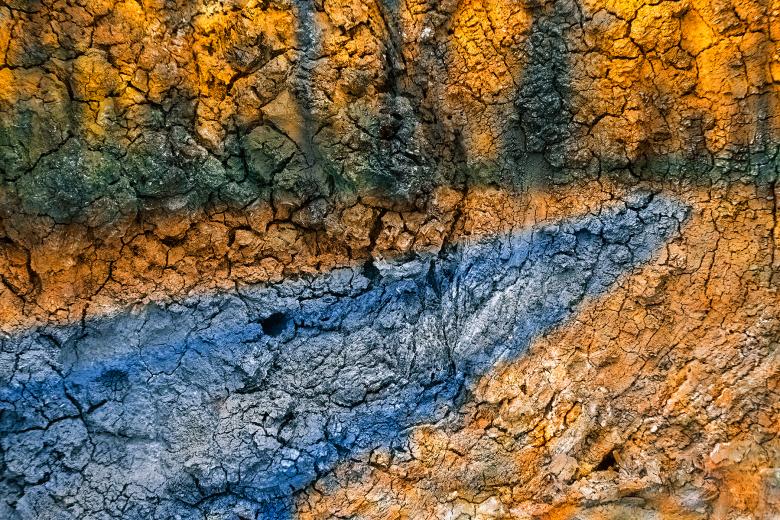 Free stock image of Charred Hickory Wood Impressions created by Nicolas Raymond