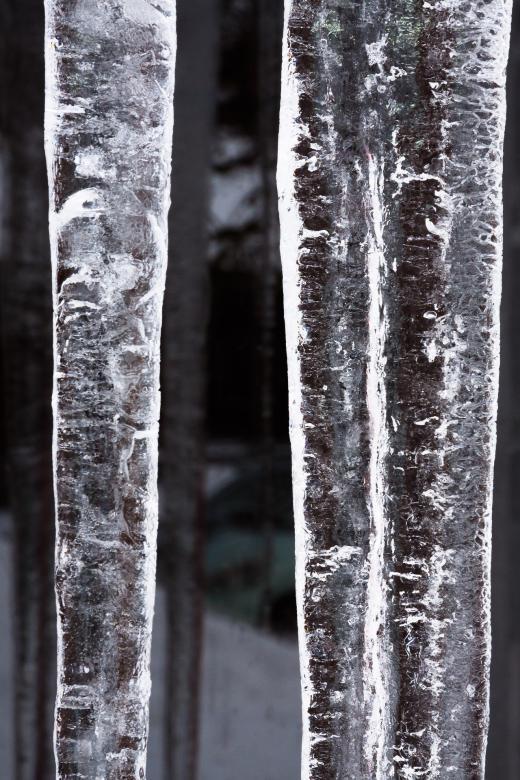 Free stock image of In Winter created by Pixabay