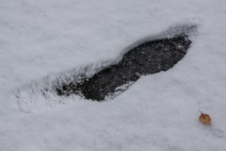 Free stock image of Footstep on the Ice created by Pixabay