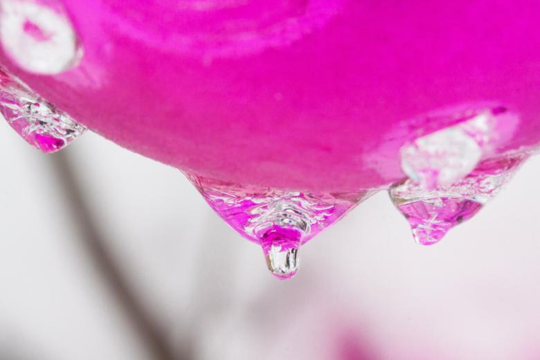 Free stock image of Drop of Water created by Pixabay