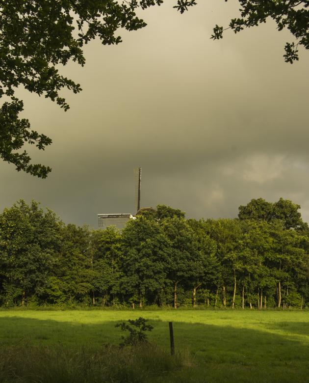 Free stock image of Dutch Corn Mill Behind Treeline created by W. Brandsma