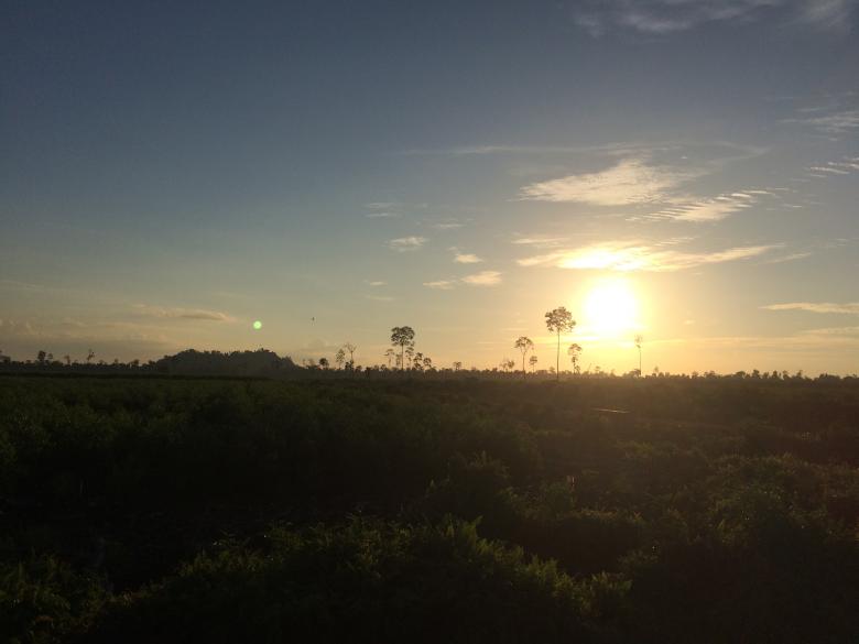 Free stock image of Afternoon Sun created by Rikson Roberto