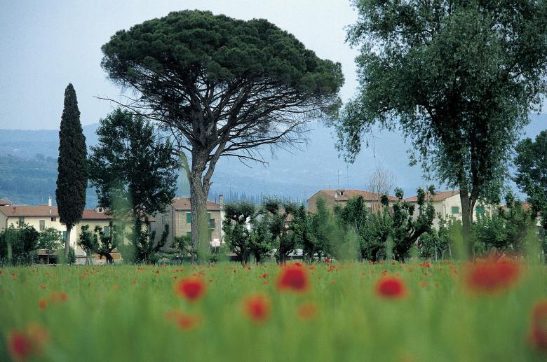 Free stock image of Italian Field created by Pixabay