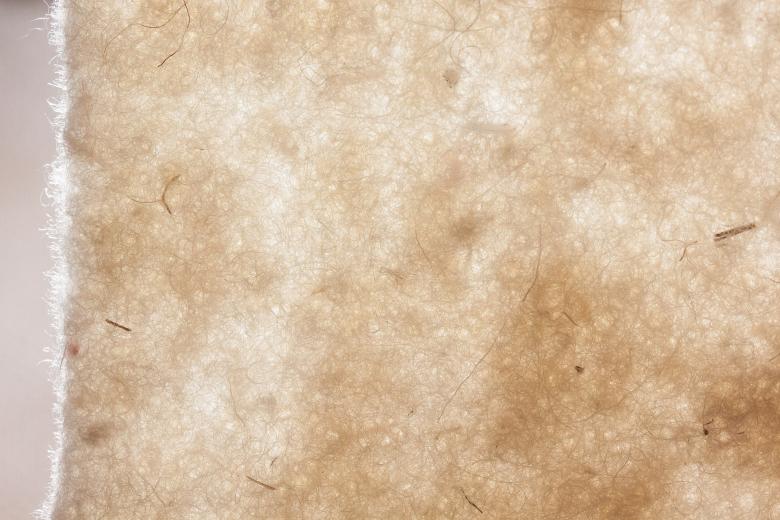 Free stock image of Sheep Wool Fabric Texture created by Pixabay