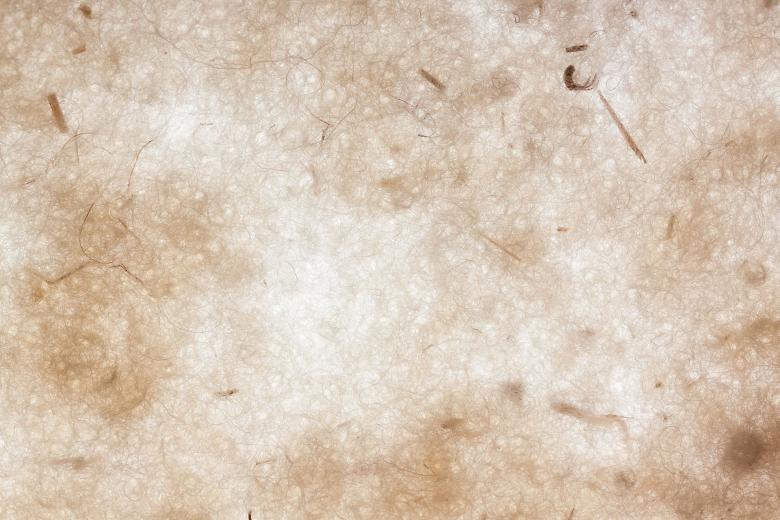 Free stock image of Sheep Wool Texture created by Pixabay