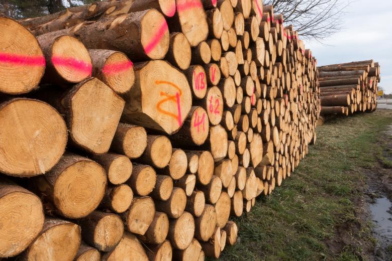 Free stock image of Wooden Logs created by Pixabay