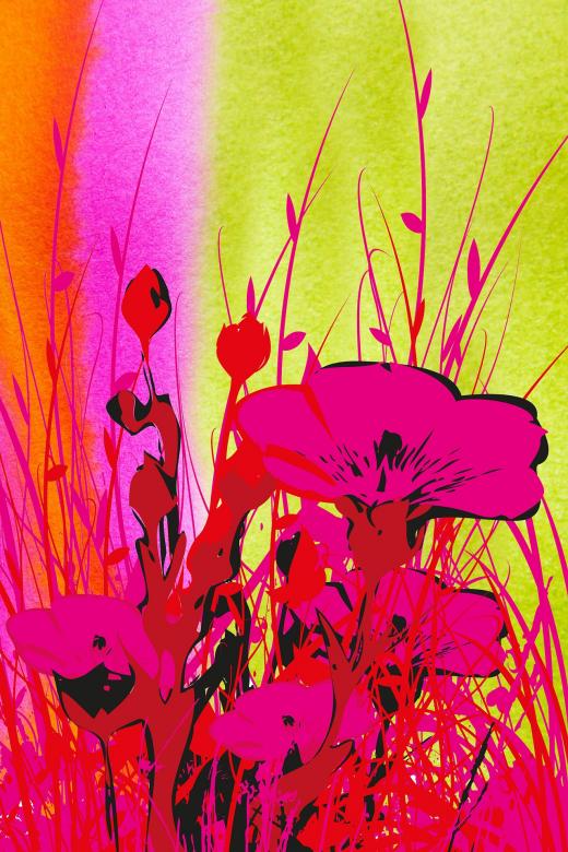 Free stock image of Graphical Flowers created by Pixabay