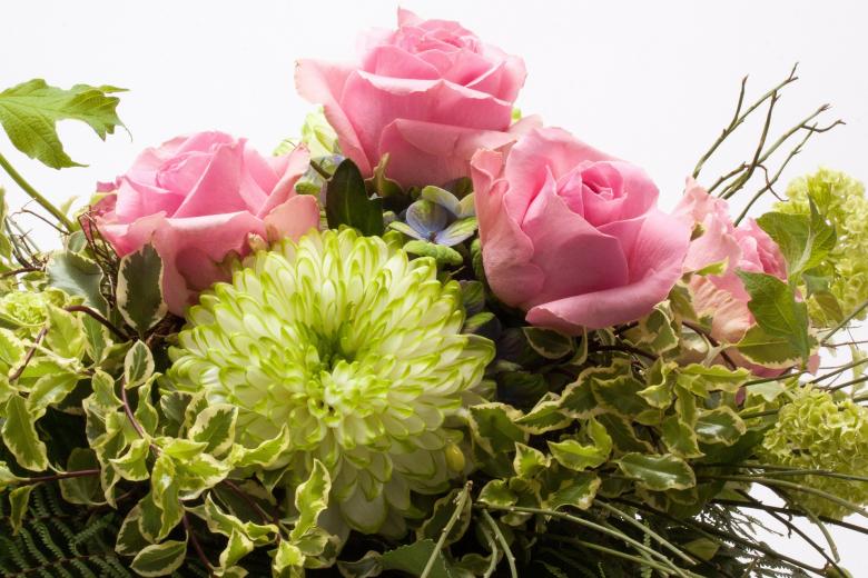 Free stock image of Fresh Roses in the Garden created by Pixabay