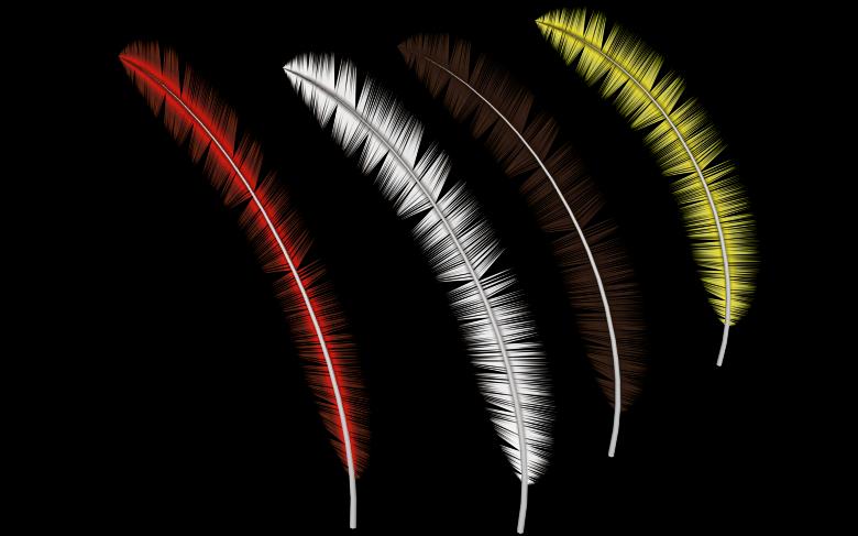 Free stock image of Feather Graphic created by bykst