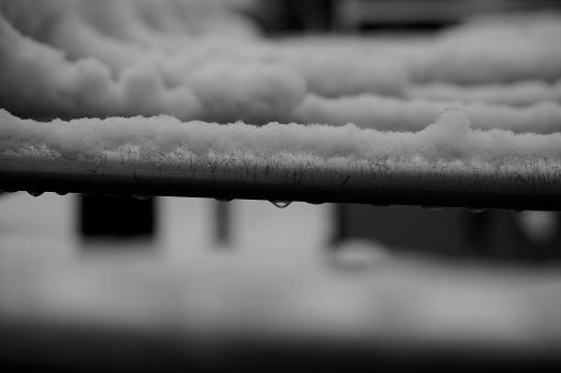 Snow on the Bars - Free Stock Photo
