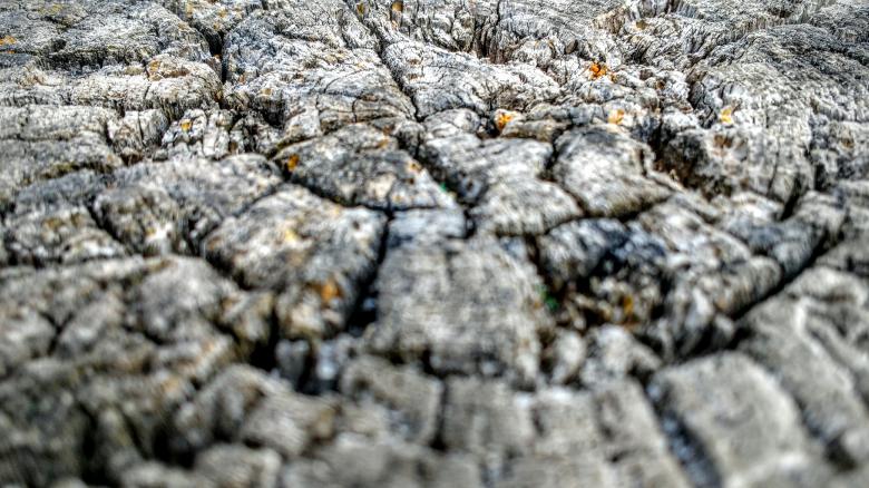 Free stock image of The End of Trees created by Joseph Vos