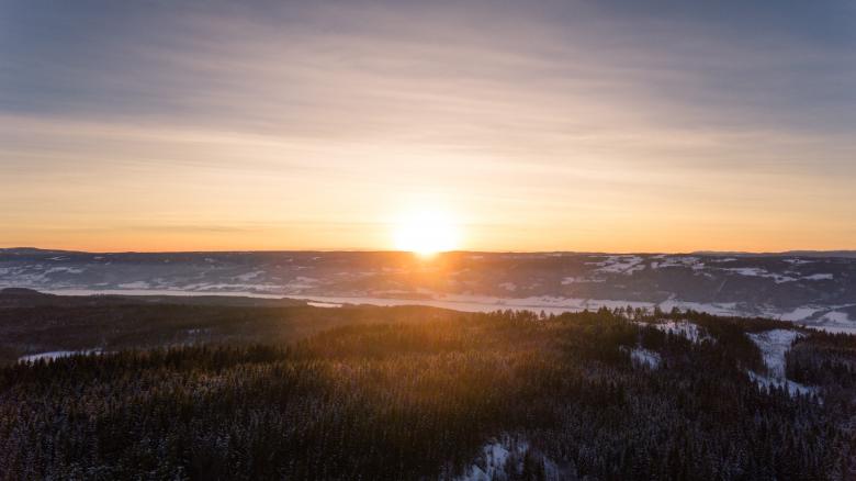 Free stock image of Sunset above Forest created by invisiblepower