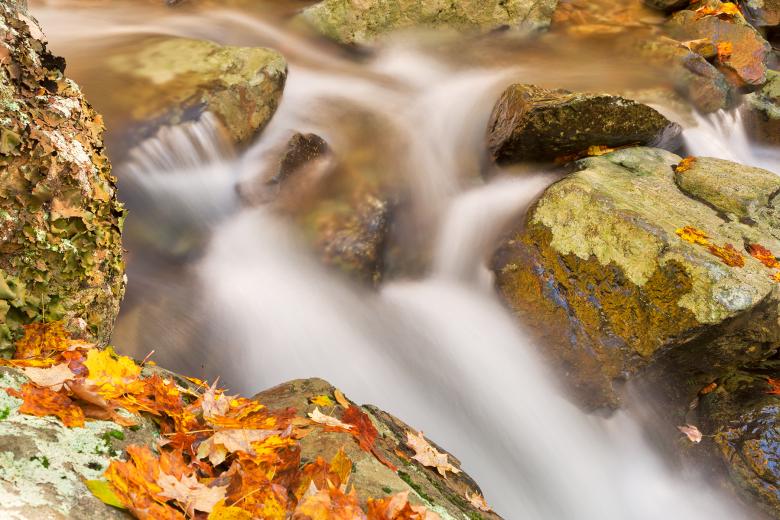 Free stock image of Autumn Rose River Stream - HDR created by Nicolas Raymond