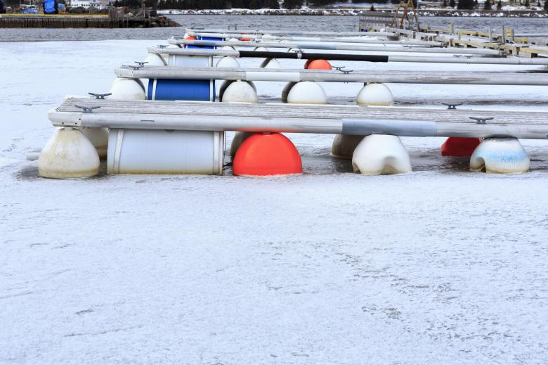 Free stock image of Marina in winter created by Geoffrey Whiteway