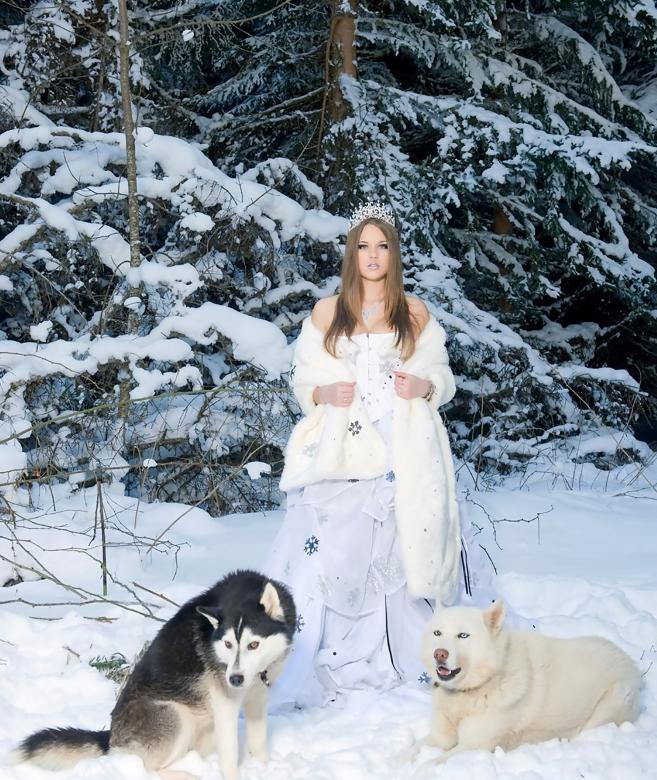Free stock image of Lady with Wolves created by Pixabay