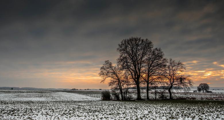 Free stock image of Winter Photography created by Pixabay