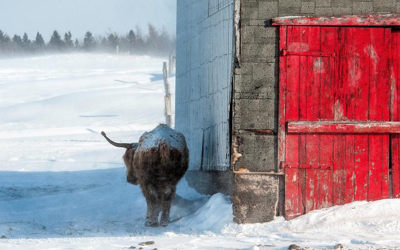 Free stock image of In Winter created by Pixabay