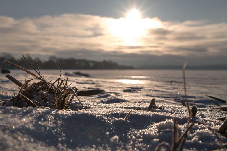Free stock image of Sun and winter created by Janis Urtans