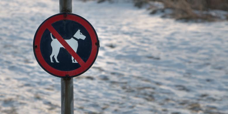 Free stock image of No dogs sign created by Janis Urtans