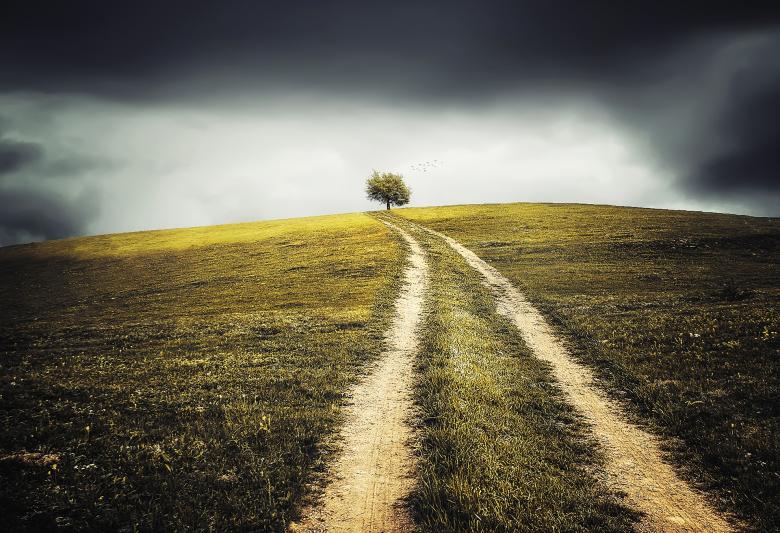 Free stock image of Grassy Route created by Pixabay