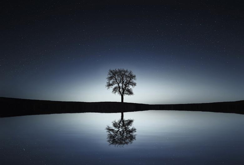 Free stock image of Lonely Tree Reflection created by Pixabay