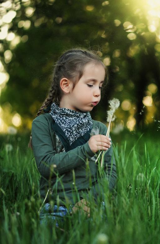 Free stock image of Girl with a Dandelion created by Pixabay
