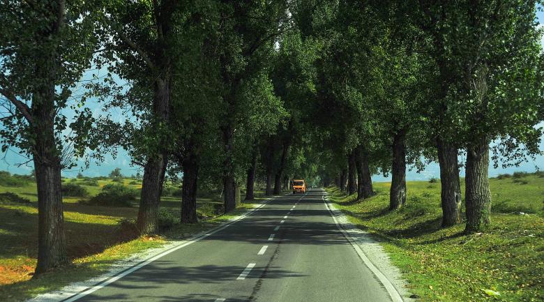 Free stock image of Road that leads to the Park created by Pixabay