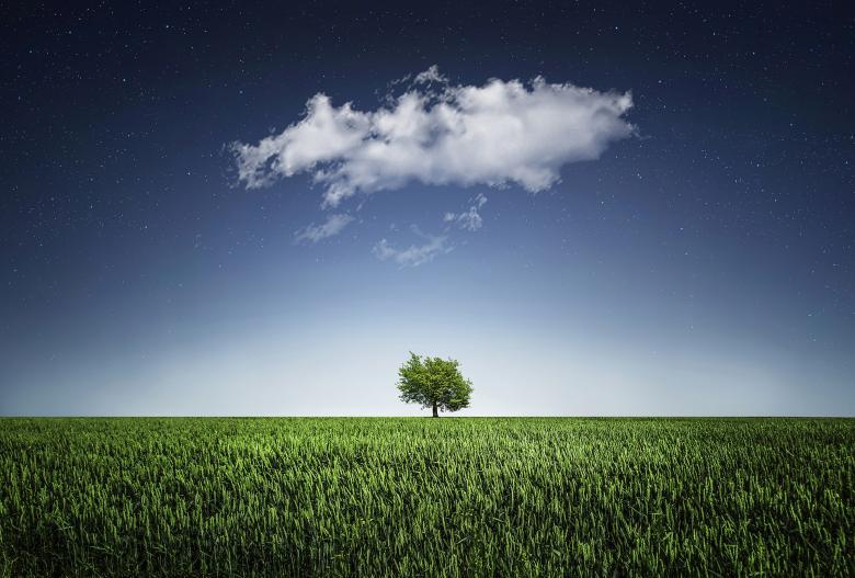 Free stock image of In the Field created by Pixabay