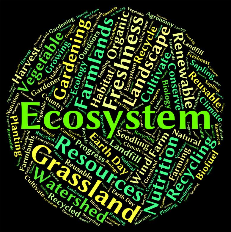 Free stock image of Ecosystem word shows eco biosystem and ecology created by Stuart Miles