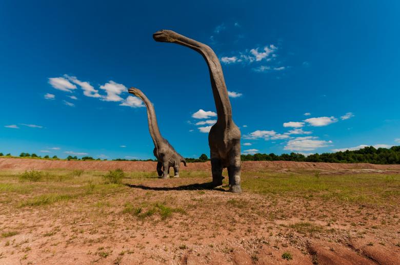 Free stock image of Extinct Dinosaur Park created by Pixabay