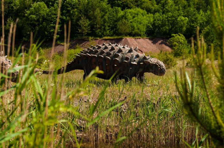 Free stock image of Dinosaur Theme Park created by Pixabay