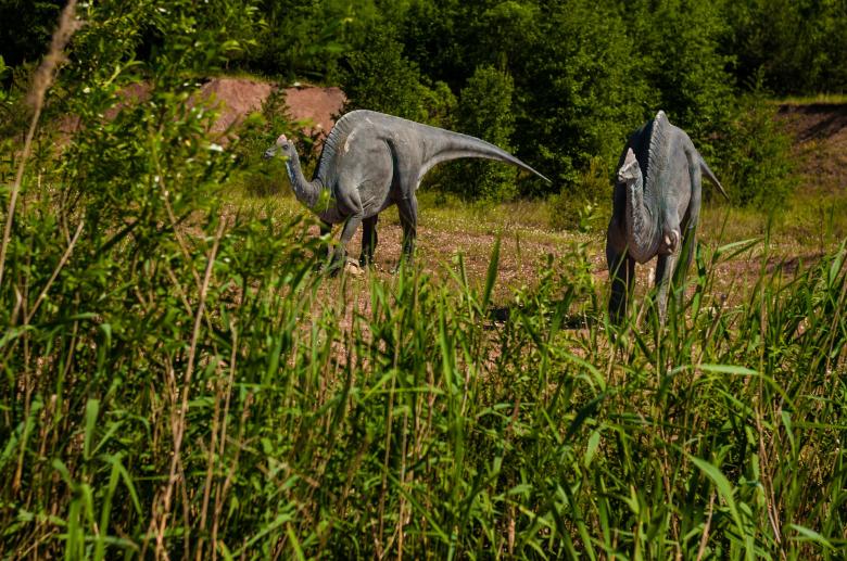 Free stock image of Dinosaur Theme Park created by Pixabay