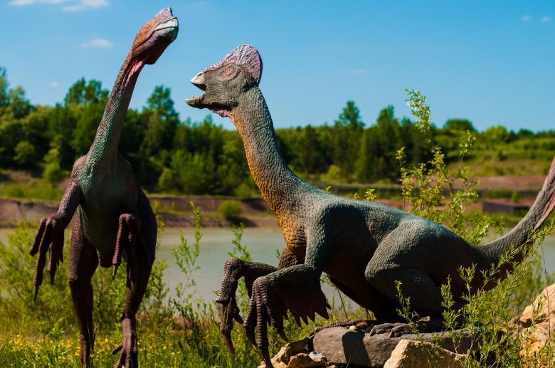 Free stock image of Extinct Dinosaur Figures created by Pixabay