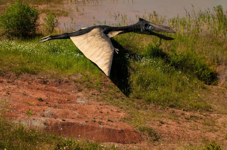 Free stock image of Dinosaur Flying created by Pixabay