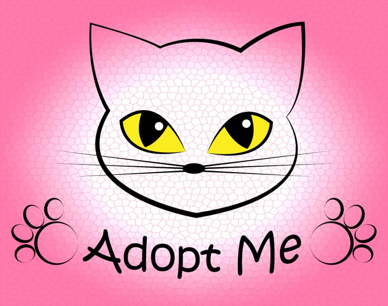 Free stock image of Cat Adoption Shows Kitten Kitty And Felines created by Stuart Miles