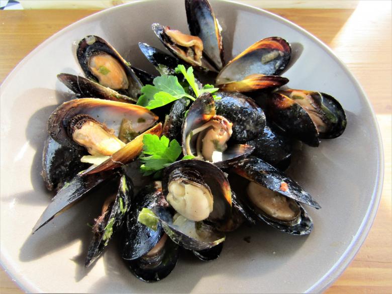 Free stock image of Mussels created by franco battisti